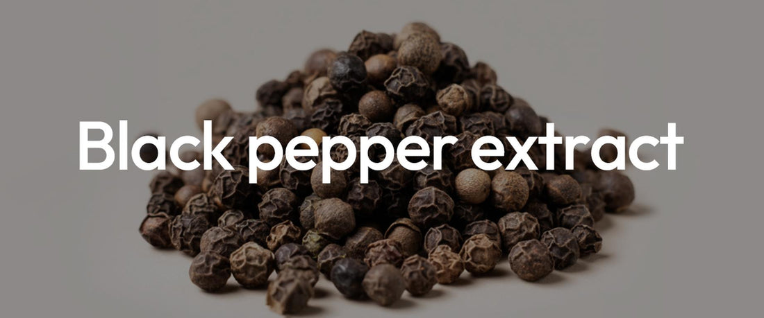 BioPerine® Black Pepper Extract: Helping Nutrients Get Absorbed Better