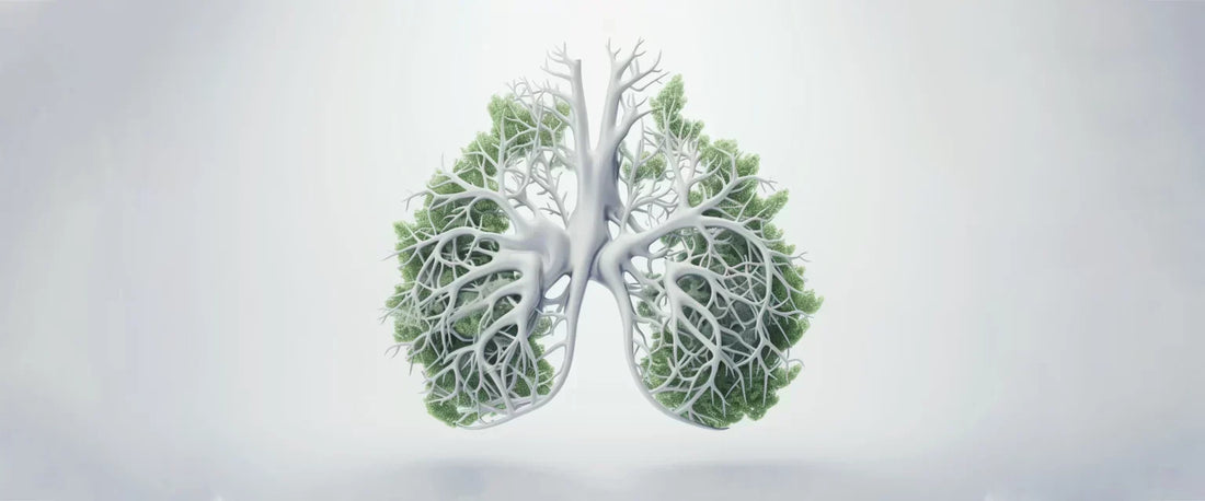Understanding the Importance of Healthy Lungs