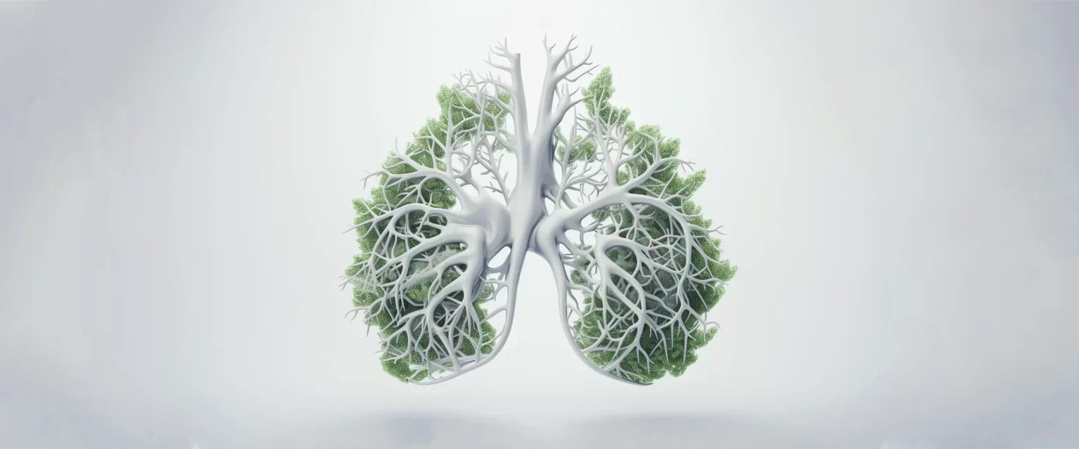 Understanding the Importance of Healthy Lungs
