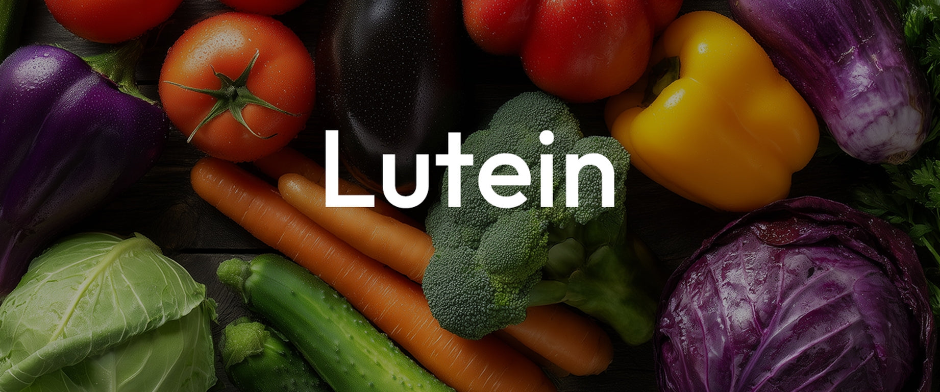Lutein’s Role in Supporting Eye Health Under Daily Visual Stress