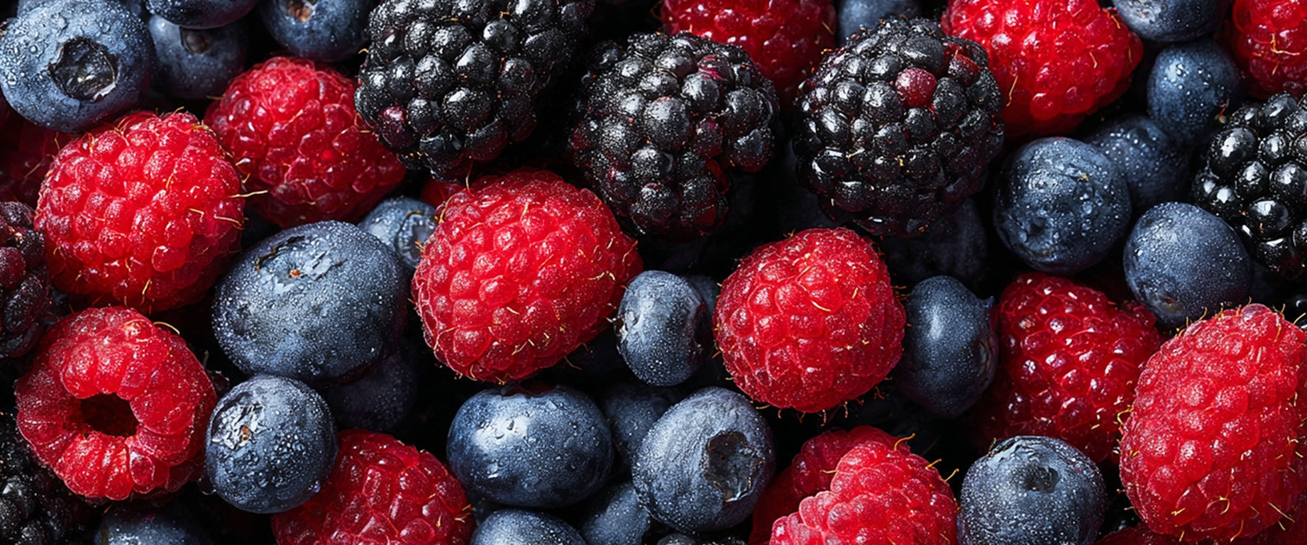 Sweet, Steady, and Clean: A Closer Look at OnoSweet™ (Fermented Reb M)