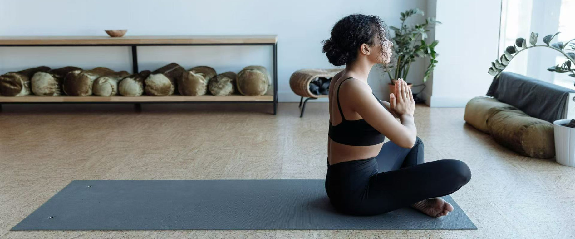 AH39: A Clinically Studied Akkermansia Strain at the Center of Metabolic Research