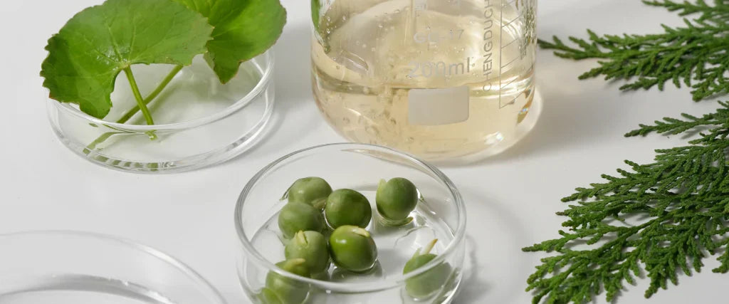 The Best Ingredients for Hair Growth: What Actually Works?