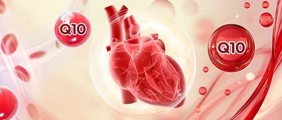 Coenzyme Q10: A Critical Factor in Cellular Energy and Heart Health