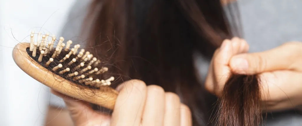 Is Your Hair Loss Routine Working? Here’s What Actually Helps—And What Might Be Holding You Back