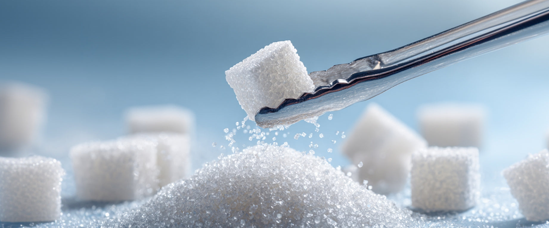 L-Arabinose: A Smarter Way to Handle Sugar Spikes