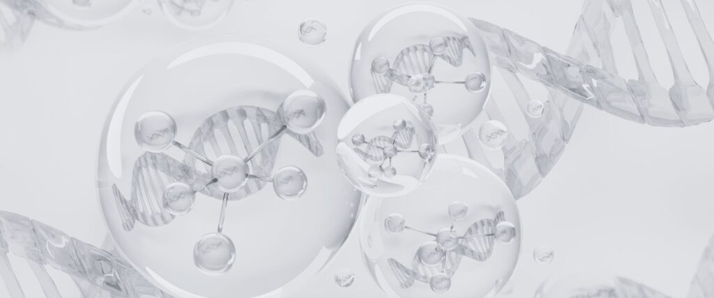 Spermidine: The Hidden Key to Healthy Aging