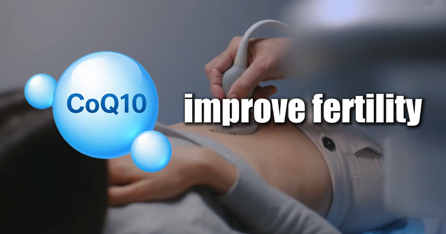 CoQ10 and Fertility: What the Science Says About Egg and Sperm Health