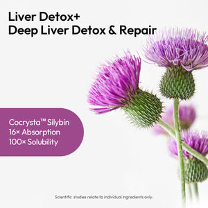 Liver Detox+