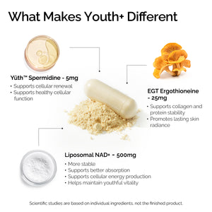 Youth+ (Capsule)