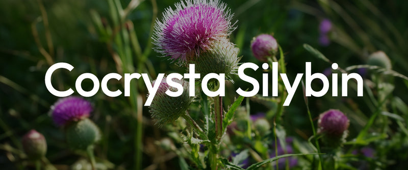 Co-Crystal Silybin: Purifying &amp; Restorative Support for the Liver