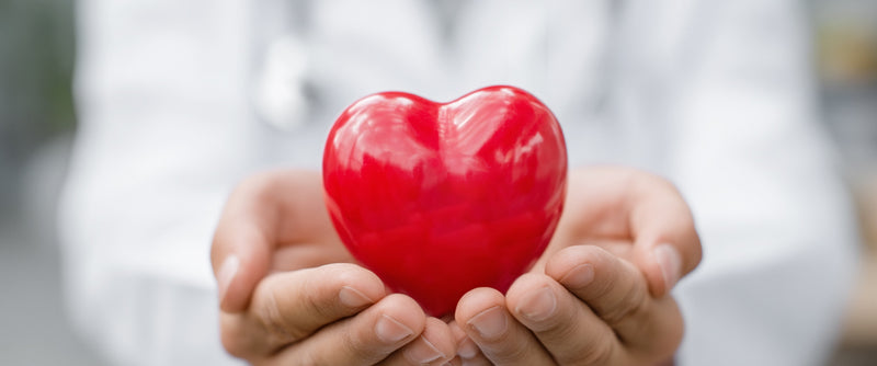 Coenzyme Q10 (CoQ10): Supporting Cellular Energy and Antioxidant Balance