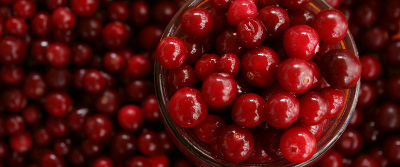Cranberry Extract: Nature’s Gentle Support for Women’s Wellness