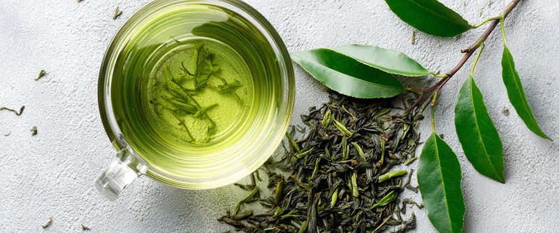 A Softer Path to Weight Balance: Decaffeinated Green Tea Extract
