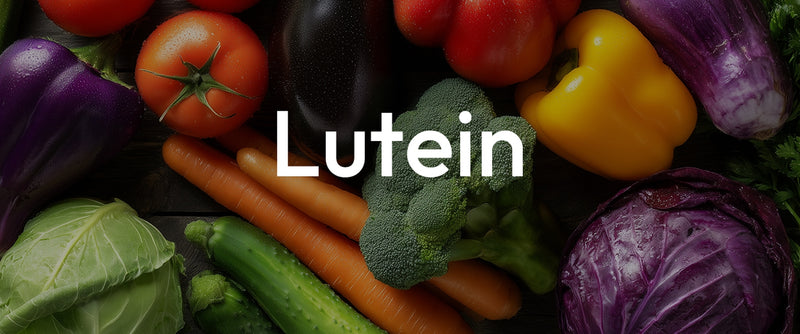 Lutein’s Role in Supporting Eye Health Under Daily Visual Stress