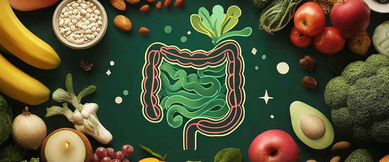 Meet AKK: The Probiotic Linked to Weight, Sugar, and Balance