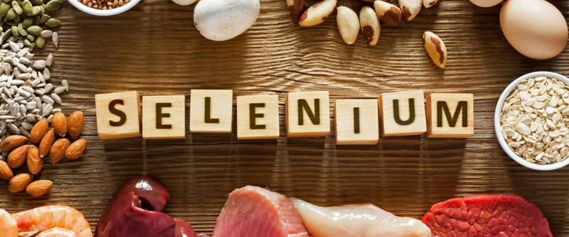 Small Element, Big Impact: How Selenium Supports Liver Health