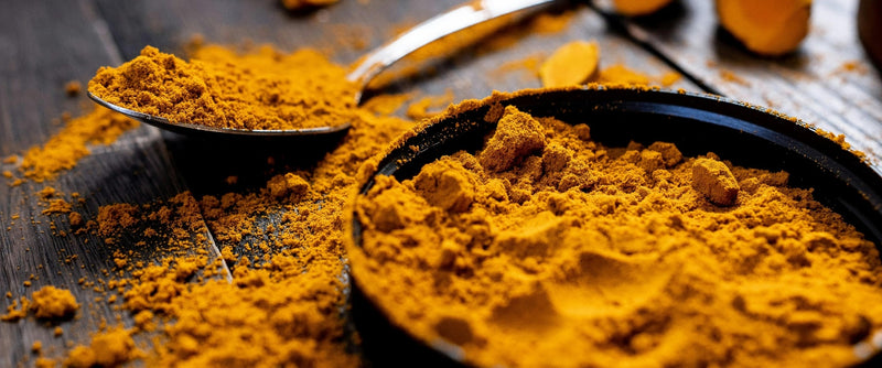 Turmeric: The “Golden Spice” for Supporting Liver Function
