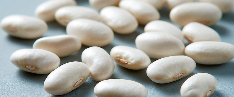 White Kidney Bean Extract: Support for Weight and Blood Sugar Balance