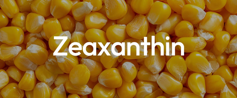 Zeaxanthin and Visual Comfort: What the Research Supports