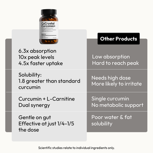 CoCrystal Curcumin+