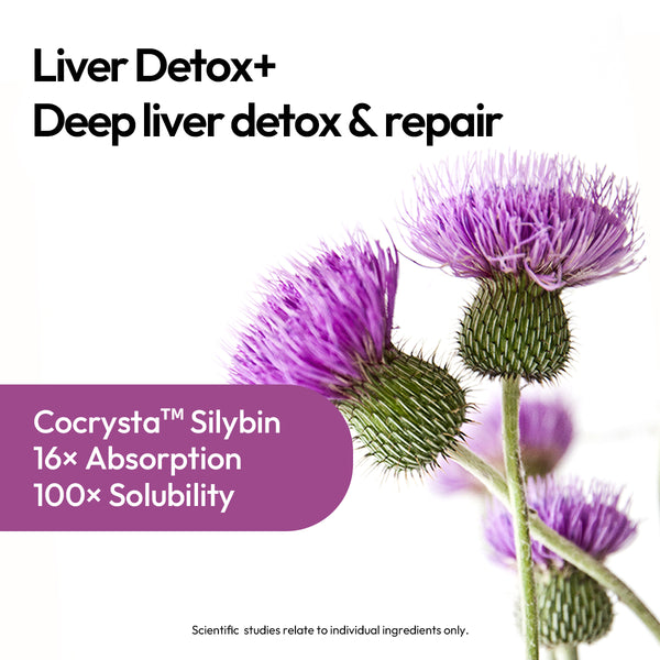Liver Detox+